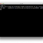 FreeBSD - оконный менеджер сессий терминала «Screen»